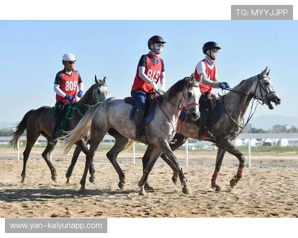 葡萄牙马术协会推出马术运动员健康管理系统，关注运动员身心健康。